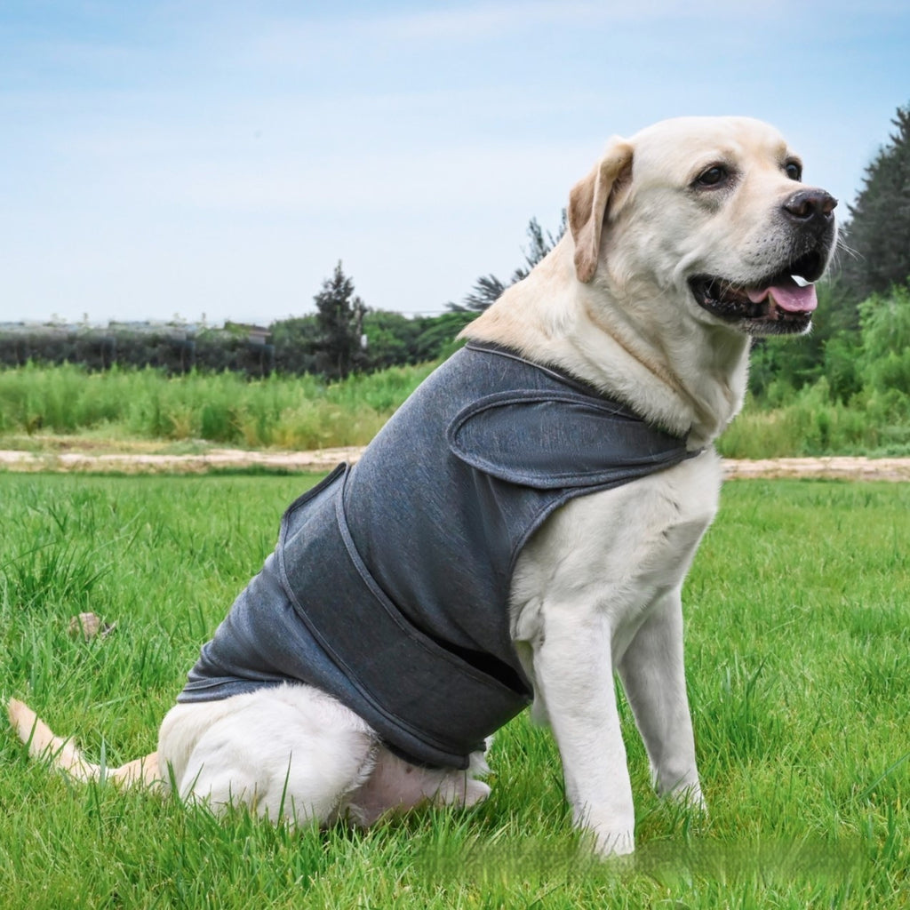 Pet Soothing Clothes For Dogs To Relieve Separation Anxiety Tank Top