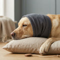 Dog Calming Hoodie